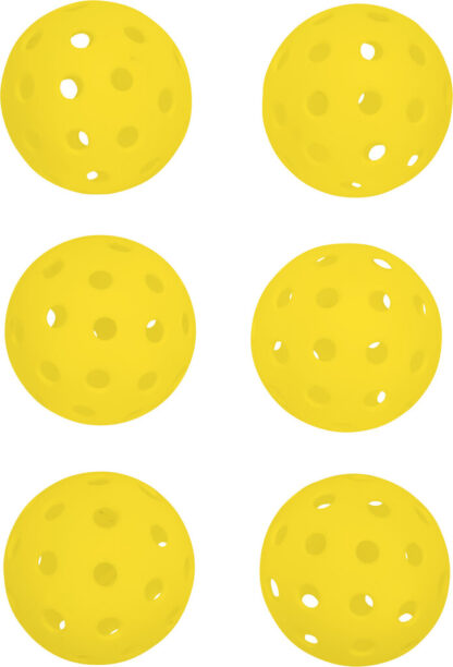 Pickleball 6er Set