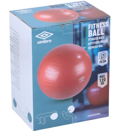 Fitnessball - Image 4