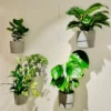 Wandhalterung für Ikea Blumentopf NYPON 5 Stück
