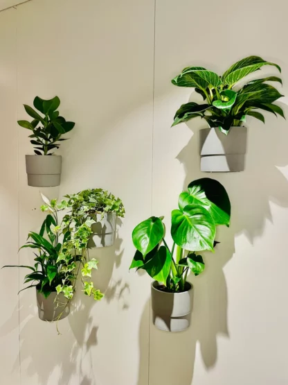 Wandhalterung für Ikea Blumentopf NYPON 5 Stück