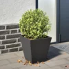 Pflanzkübel